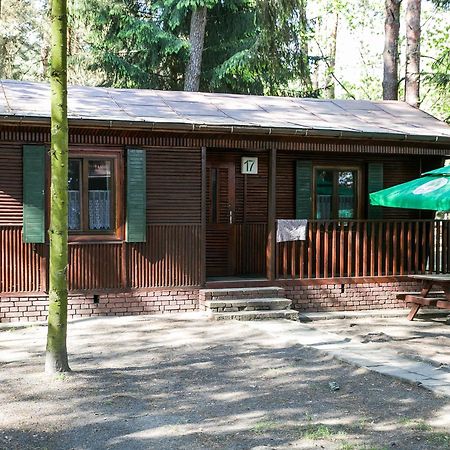 Lesna Ryba Hotel Jedlanka Stara Room photo